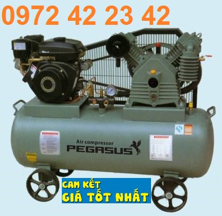 Máy nén khí đầu nổ chạy bằng xăng Model: TM- V-0.25/8